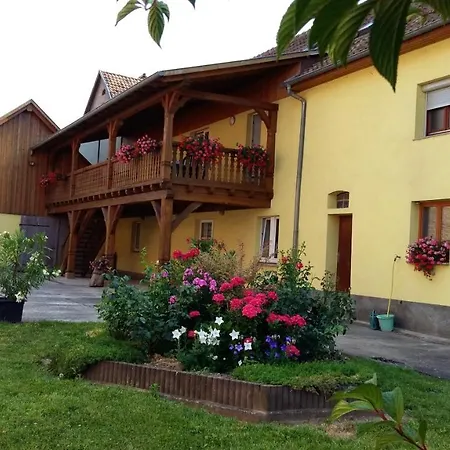 Maison Charmante Avec Jardin A | Climatisation Incluse * Stotzheim
