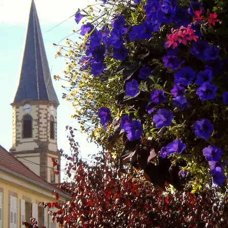 Vakantiehuis Maison Charmante Avec Jardin A | Climatisation Incluse